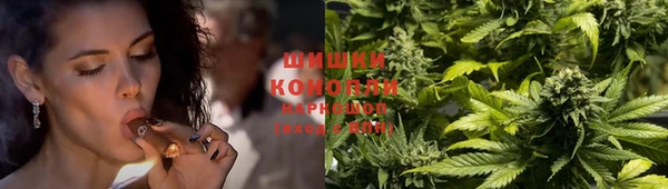 стаф Балахна
