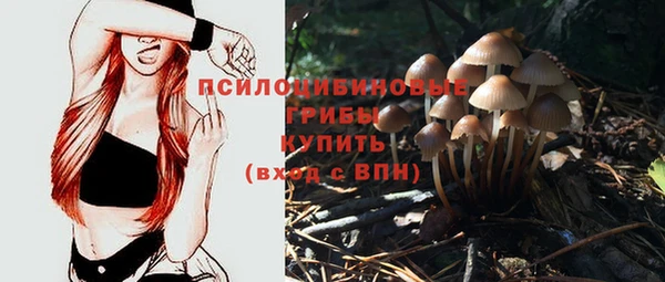 MDMA Premium VHQ Беломорск